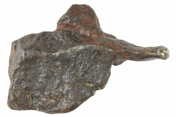 Canyon Diablo Iron Meteorite ( g) - Arizona #262870
